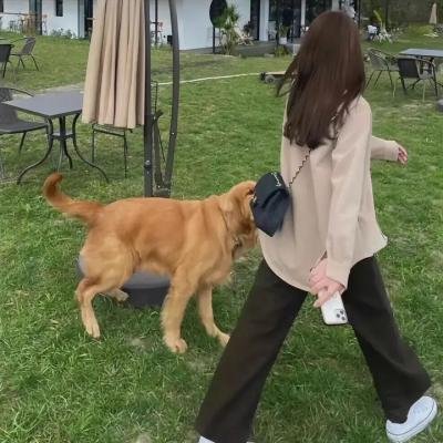 小可爱娜斯佳第四季